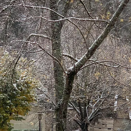 D Hotes H 3* 拉夫拉内