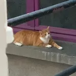 D Hotes H Bed & Breakfast