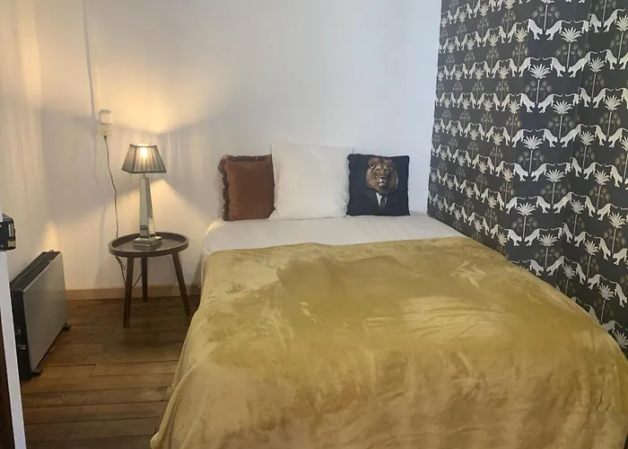 D Hotes H 3* Lavelanet