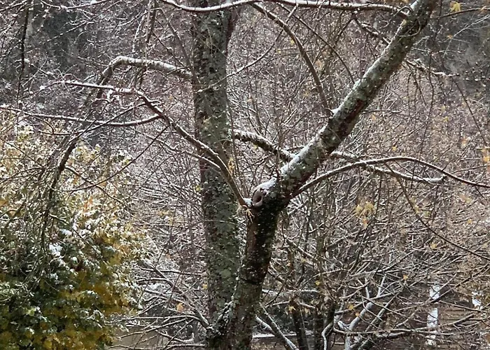 D Hotes H 3* Lavelanet