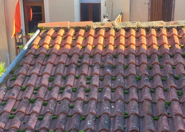 לינה וארוחת בוקר D Hotes H